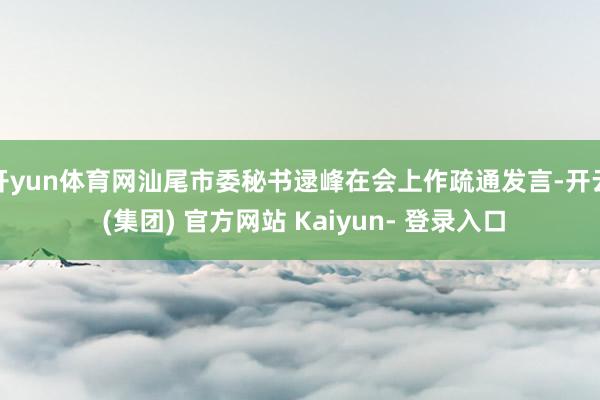 开yun体育网汕尾市委秘书逯峰在会上作疏通发言-开云 (集团) 官方网站 Kaiyun- 登录入口