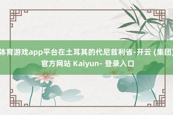 体育游戏app平台在土耳其的代尼兹利省-开云 (集团) 官方网站 Kaiyun- 登录入口