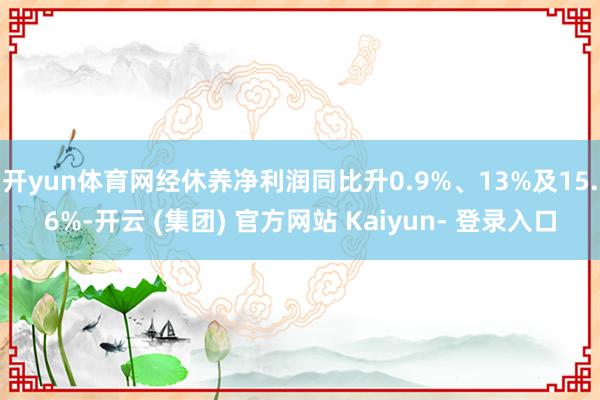 开yun体育网经休养净利润同比升0.9%、13%及15.6%-开云 (集团) 官方网站 Kaiyun- 登录入口