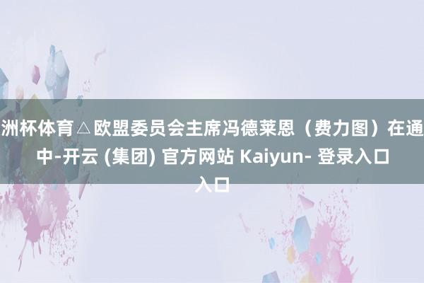 欧洲杯体育△欧盟委员会主席冯德莱恩（费力图）在通话中-开云 (集团) 官方网站 Kaiyun- 登录入口